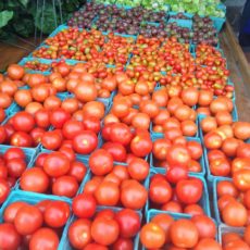 going-out-of-tomatoes-sale